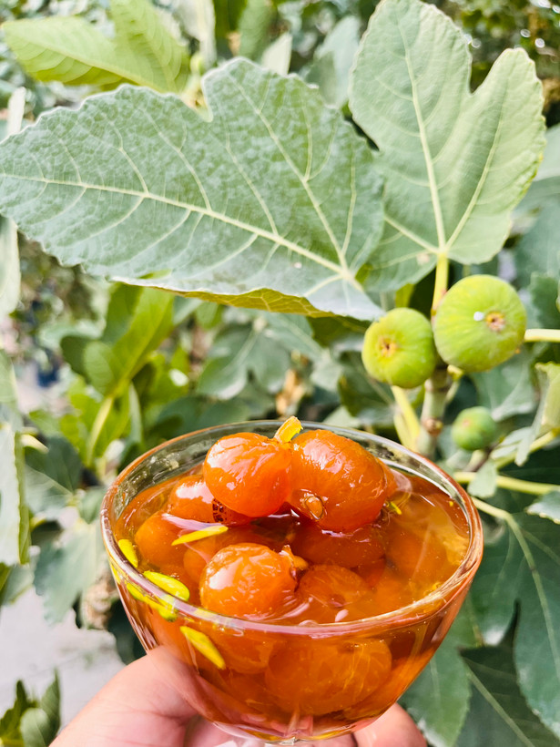 مربای انجیر شاهرود